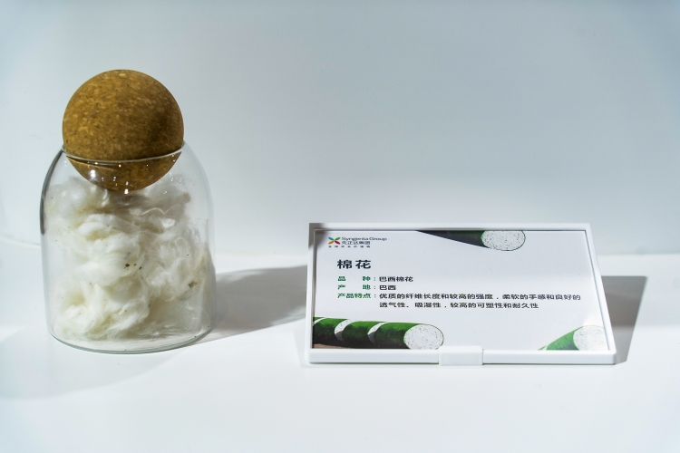 OEŷ��|�ٷ���վ